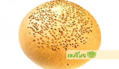 همبرگر فرانسوی